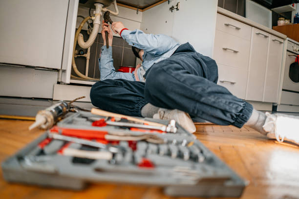 Best Plumbing Services Near Me  in Elm Grove, WI