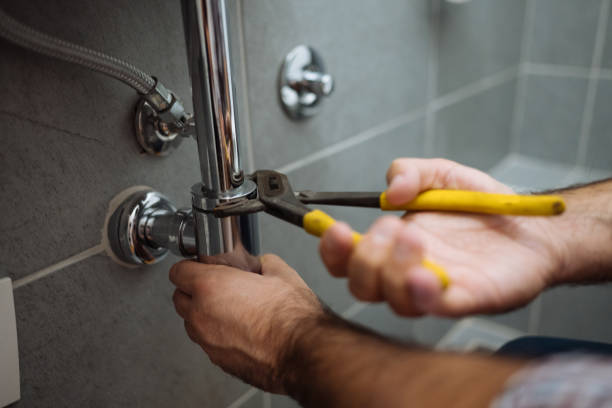 Best Clogged Drain Plumber  in Elm Grove, WI