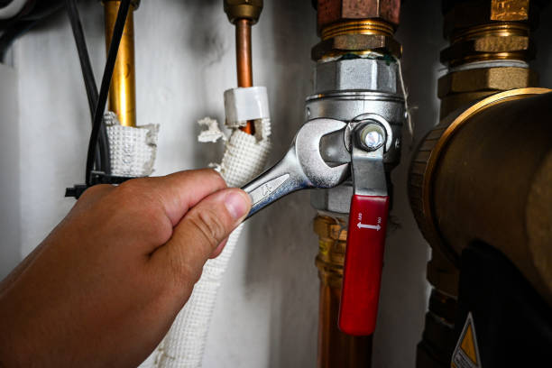Best Shower Repair Services  in Elm Grove, WI